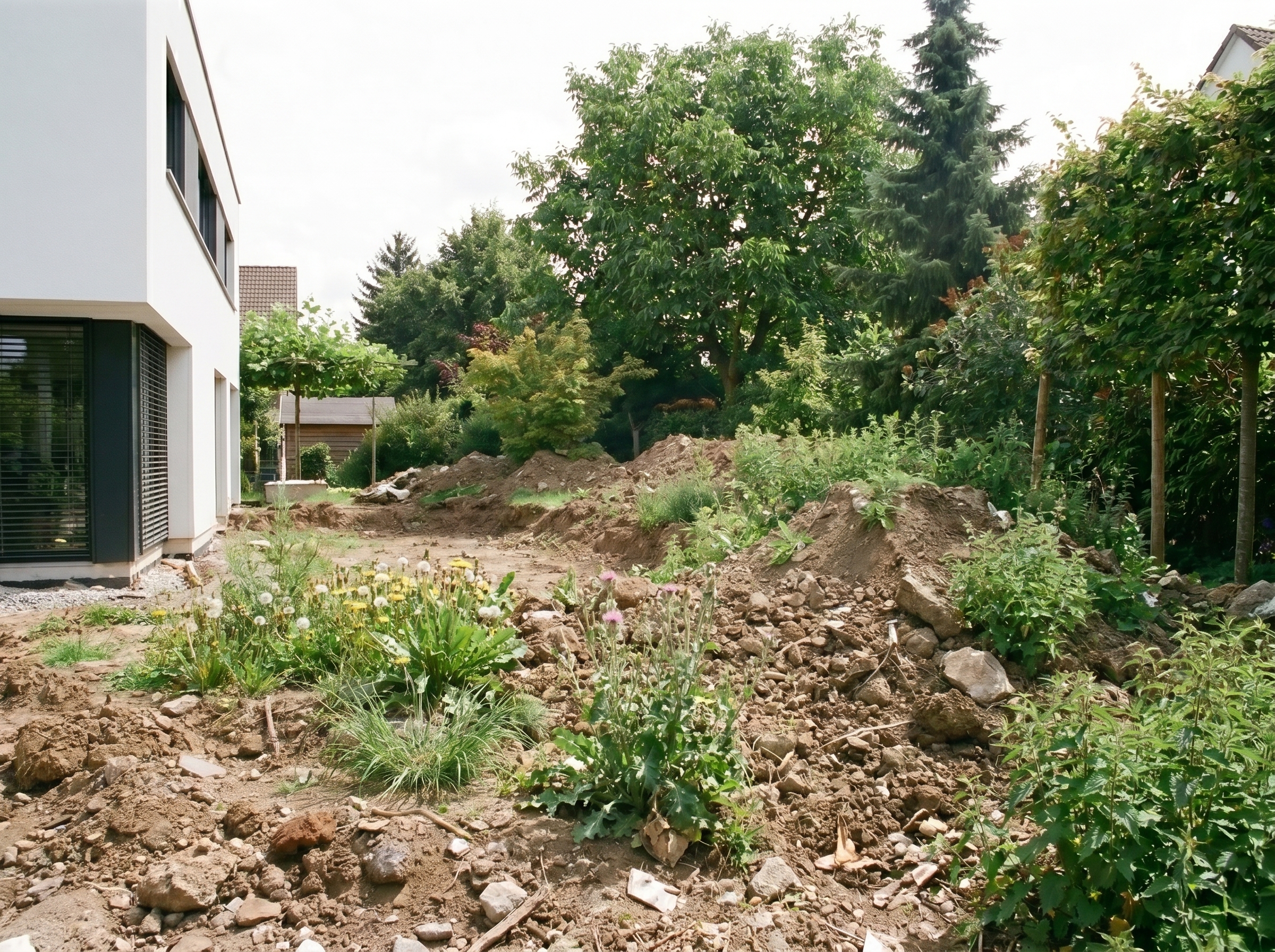 Garten vor der Neugestaltung mit Erdarbeiten, Bodenaushub, Wildwuchs und Vorbereitung für professionelle Gartensanierung vom GaLaBau-Fachbetrieb