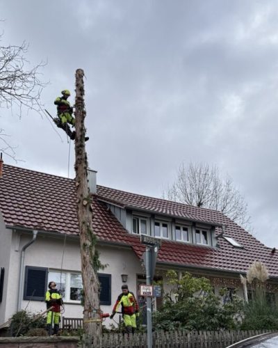 Baumarbeiten SKT