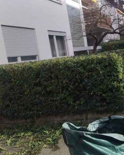 WhatsApp Bild 2025-11-10 um 02.53.02_2d1533ff